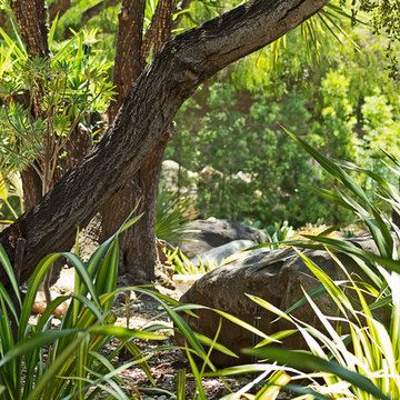 New 1-Year-Old Garden
