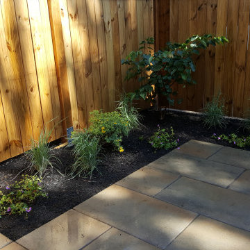 Intimate City Patio Court Garden