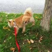 Cheryl Hoolwerf's photo
