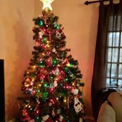 Lizzie Pecone's photo