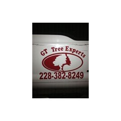 GT Tree Experts