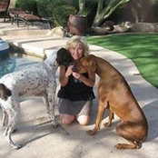 Jackie Allen's photo