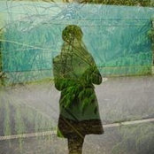 Carmen Ivan's photo