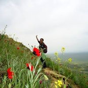 Ellen Yen's photo