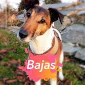 Bajas Moe's photo