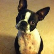 Christi Dorsey's photo