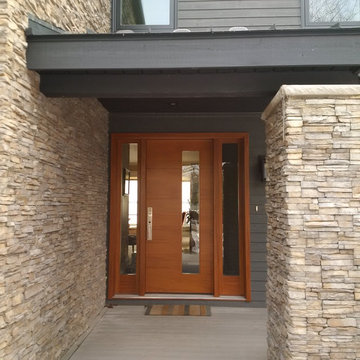 MODERN/CONTEMPORARY DOORS