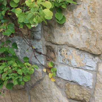 Whimsical Landscape Design