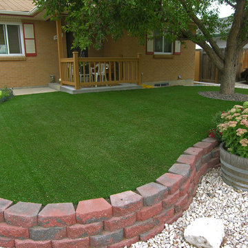 No Mow Front Yard in Arvada