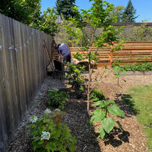Back Yard Plans