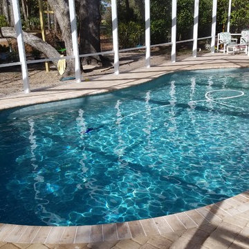 Pool and Enclosure