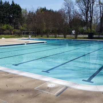 Fully renovated main pool and wading pool