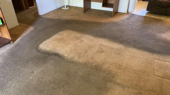 Best 15 Carpet Cleaners In Naples Fl Houzz