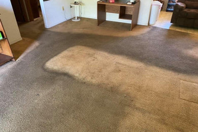 LaBelle Carpet Cleaning