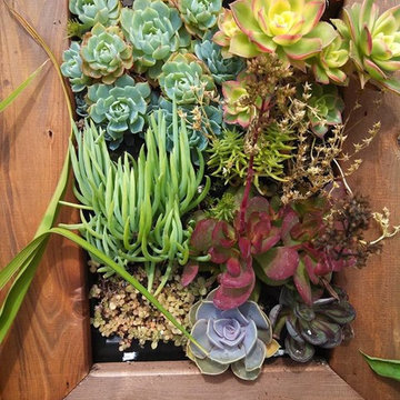 Vertical Gardens