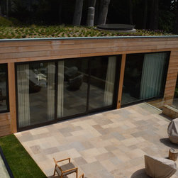 Contemporary Modern Home - Windows And Doors