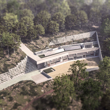 Modern Concrete House
