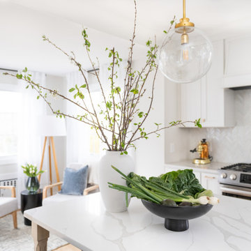 Prospect Street Kitchen Renovation