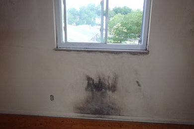 Mold Removal and Water Damage in Cincinnati, OH  Get a Price