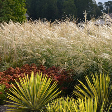 How To Build a Meadow