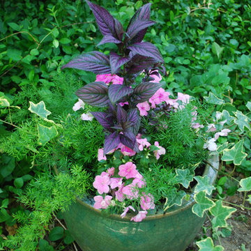 Summer Container Gardens