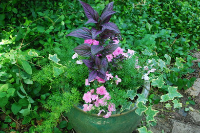 Design ideas for a shade landscaping in Oklahoma City for summer.