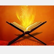 Humaira Ashfaq's photo