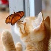 Wanda Graham's photo