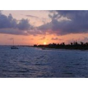 Marilyn Hanus Saavedra's photo