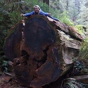 Nancy Verschuren's photo
