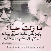 Photo de Haneen Byadsi