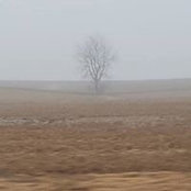 Dawn Ulrey's photo