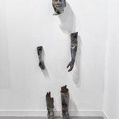 David Mills's photo
