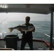 John Gardner's photo