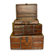 trunk