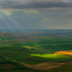 PALOUSE BIBLICAL LIGHTING - Home Decor