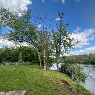 Complete Outdoor Property Improvement and Tree Service