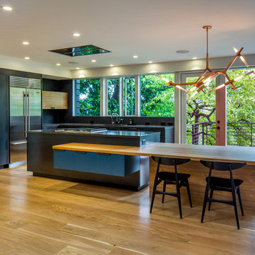 Wallace Park Modern Whole House Remodel