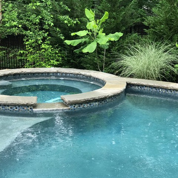 Pool Landscaping