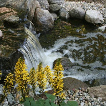 Water Feature