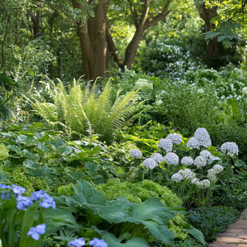 Shade Garden Path