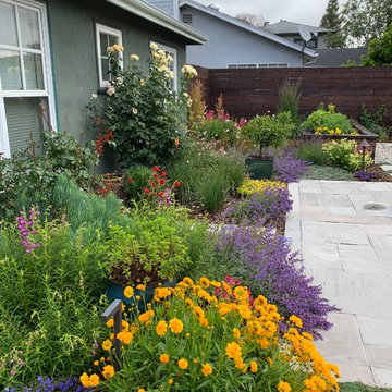 Palo Alto - empty nester garden