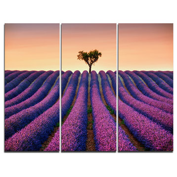 "Lavender and Lonely Tree Uphill" Photo Wall Art, 3 Panels, 36"x28"