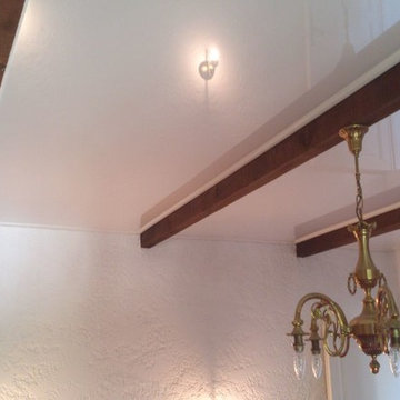 Stretch Ceiling USA