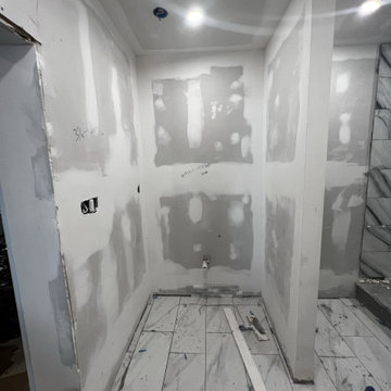 Basement Remodel