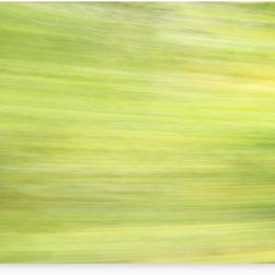Canvas prints - "Rainforest" - Photographs