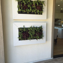 Plants