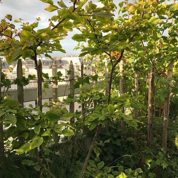 Terrasse avenue Parmentier dans le 11 ième