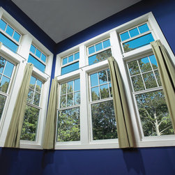 Vinyl Windows - Windows