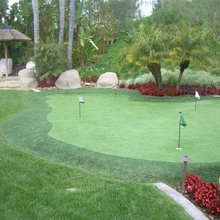 backyard putting green